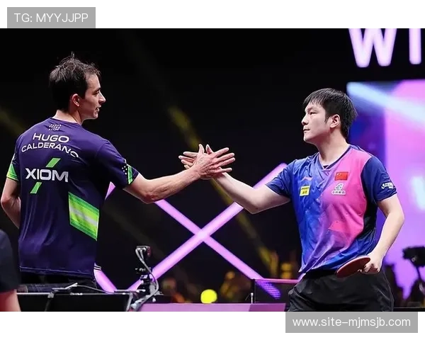 男子世界杯乒乓球赛历史回顾，回顾历届冠军与经典比赛瞬间