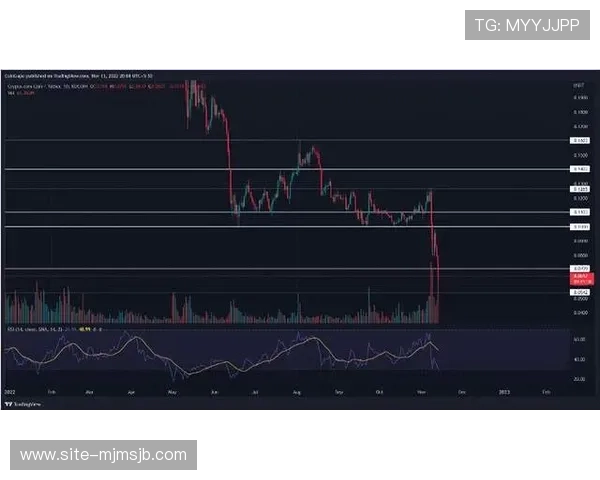 专业分析师为你解读世界杯四强预测中的关键胜负因素 专业分析师为你解读世界杯四强预测中的关键胜负因素