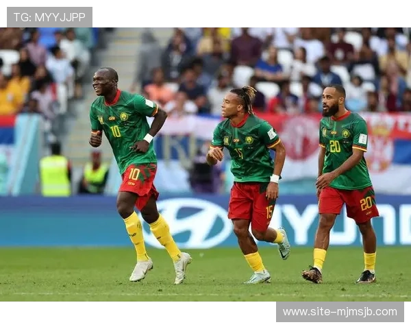 世界杯参赛国家最多的是哪一年,详细分析历届参赛国家数量变化及背后原因 世界杯参赛国家最多的是哪一年,详细分析历届参赛国家数量变化及背后原因