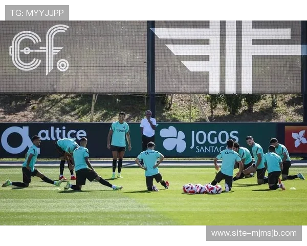 足球世界杯预选赛欧洲区晋级规则全面解析助你了解晋级路径